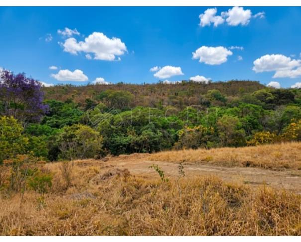 Foto de GLEBA A - FAZENDA SANTA MARIA DA SERRA