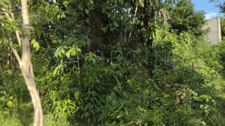 LOTE Nº 06 - QUADRA M1 - LOTEAMENTO VILLA SUÍÇA Manaus/AM, localizado em Manaus - AM