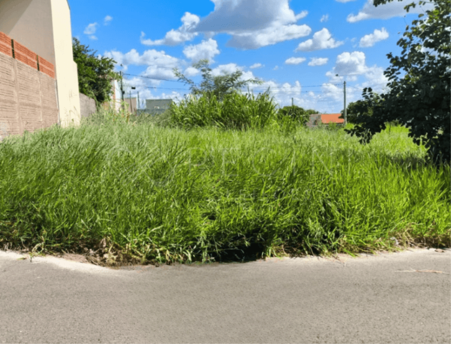 LOTE N° 03 - QUADRA AH - JD. TANGARÁ Bady Bassitt/SP, localizado em Bady Bassitt - SP, bairro Jardim Tangará