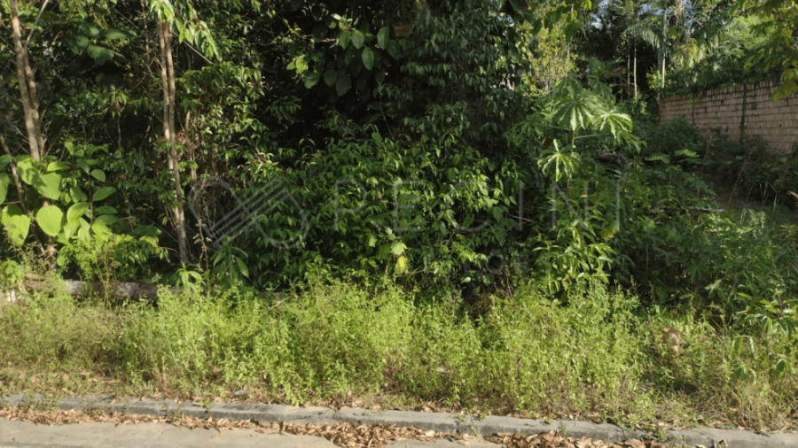 LOTE Nº 06 - QUADRA M1 - LOTEAMENTO VILLA SUÍÇA Manaus/AM, localizado em Manaus - AM